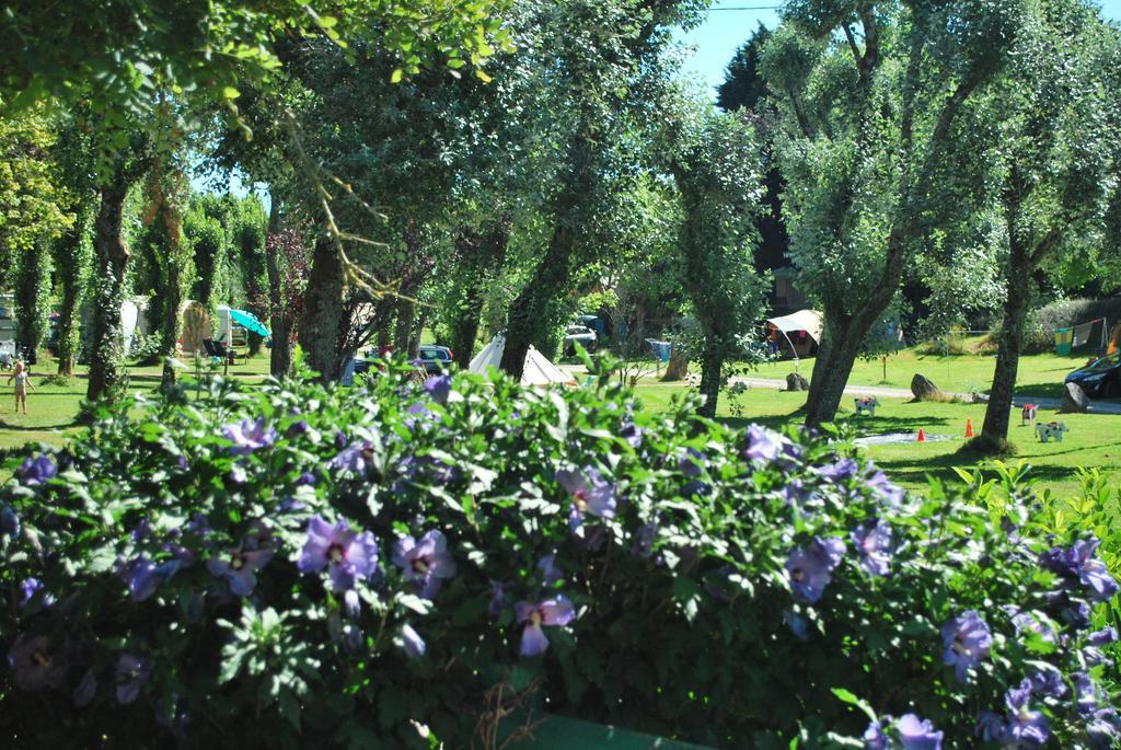 Camping Les Tournesols Sillé-le-Guillaume Kültér fotó