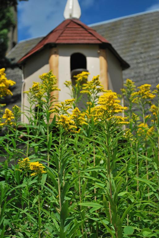 Camping Les Tournesols Sillé-le-Guillaume Kültér fotó