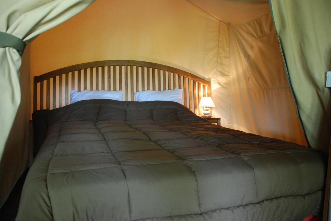 Camping Les Tournesols Sillé-le-Guillaume Kültér fotó
