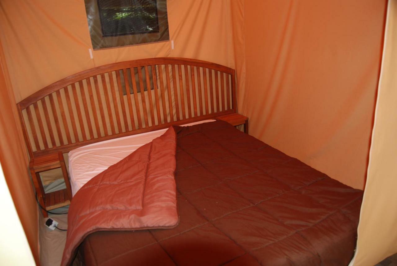 Camping Les Tournesols Sillé-le-Guillaume Kültér fotó